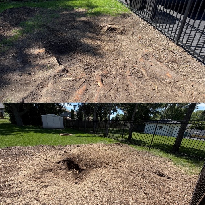 Before and after stump removal — Multiple stumps ground down — backyard cleanup, Illinois