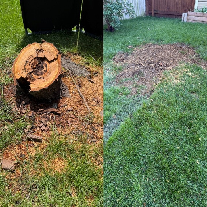 Before and after stump removal — Stump removal — clean finish, Illinois