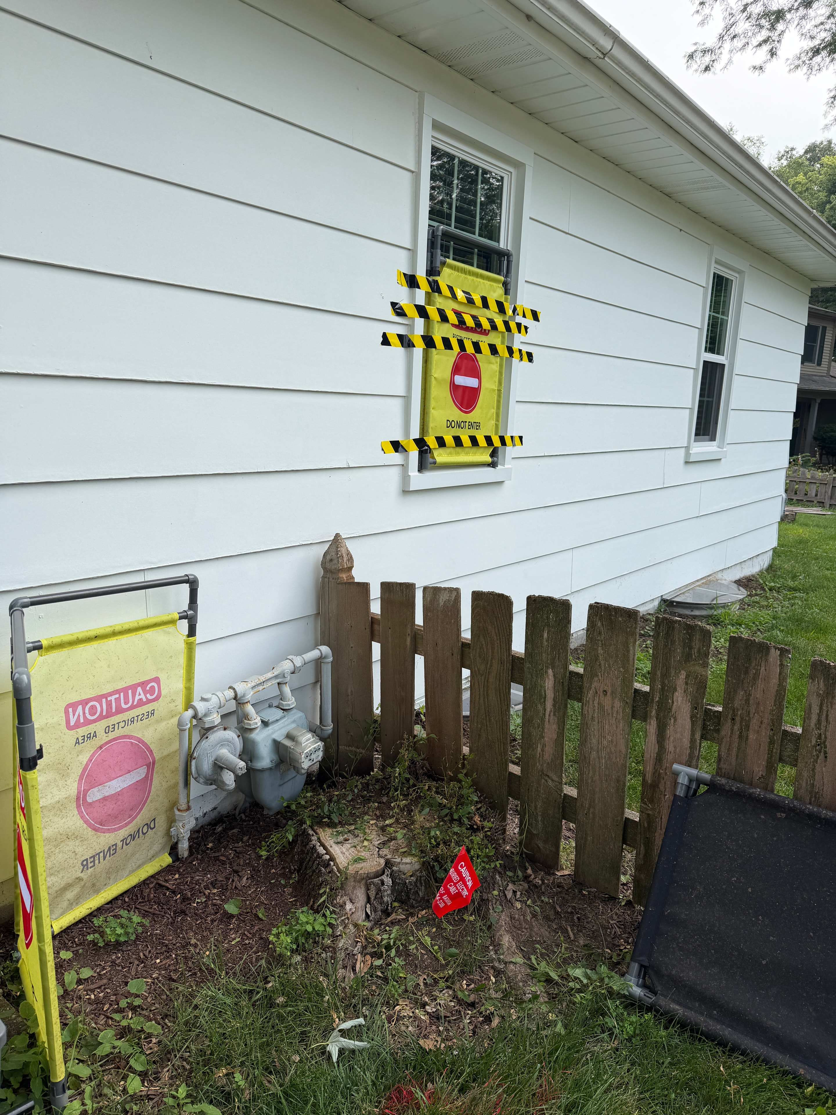 Before Stump Removal — Batavia, IL