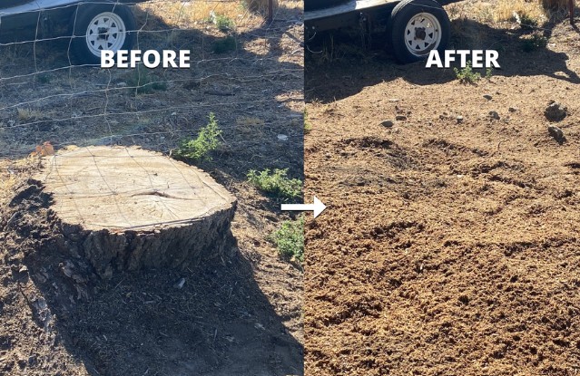 After stump removal — Large oak stump — front yard, Naperville, IL
